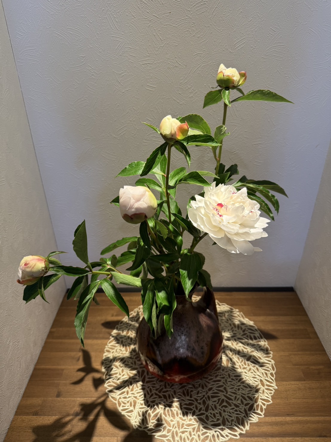 芍薬の季節